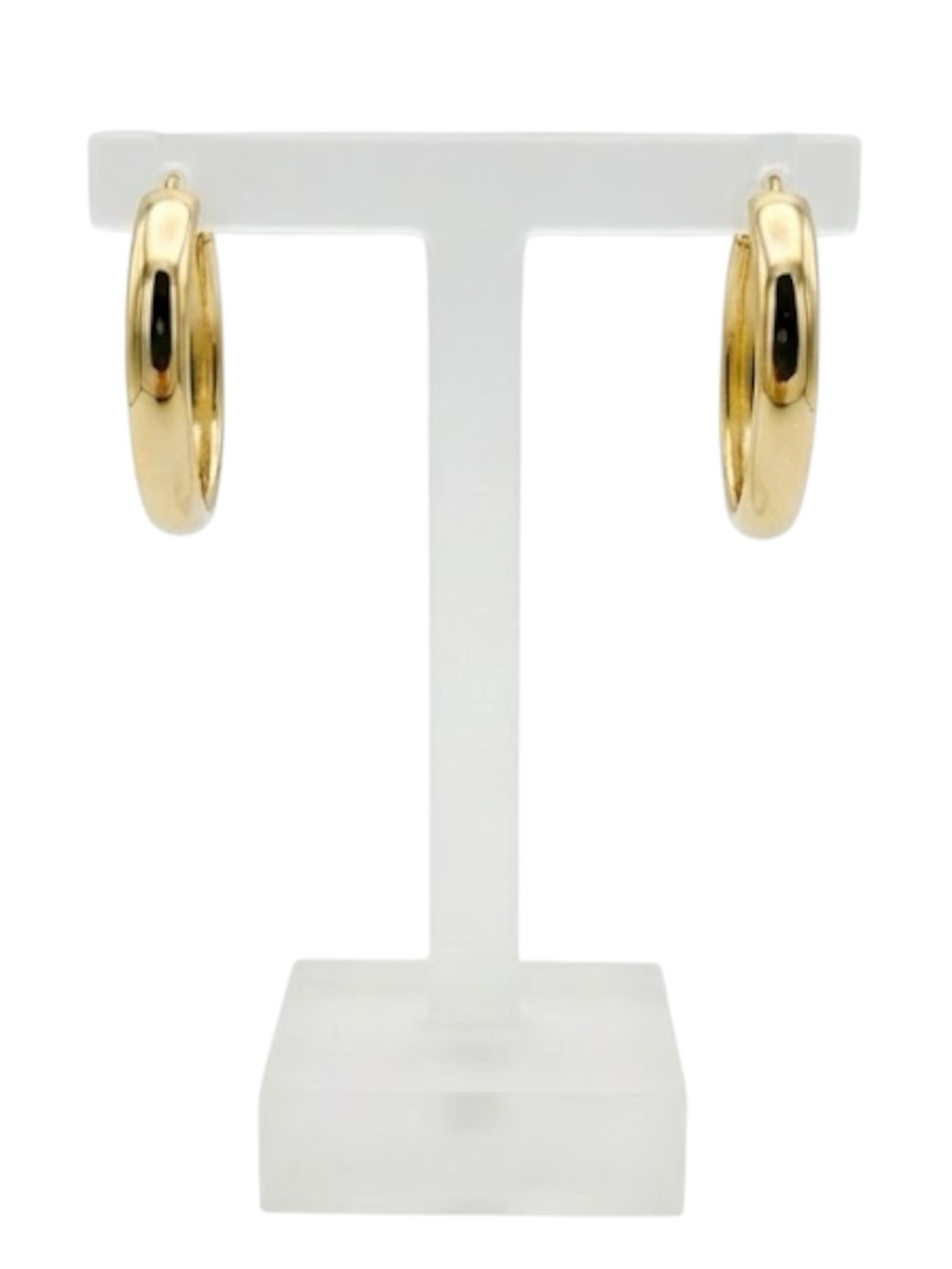 Gold Tone Hoop Earrings (NWT)